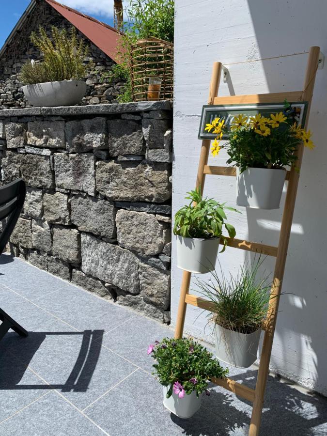Appartamento Ai Ronchi Gordola Exteriér fotografie